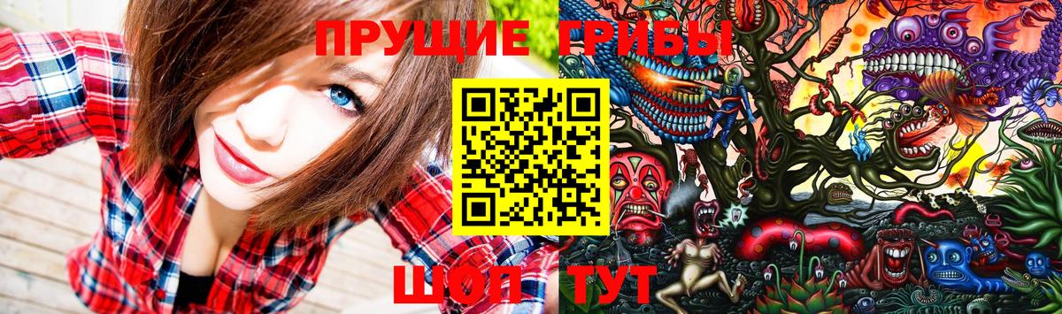 Псилоцибиновые грибы GOLDEN TEACHER Лабытнанги